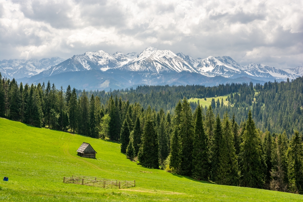 Łatwe trasy – Tatry z widokiem na skalne szczyty