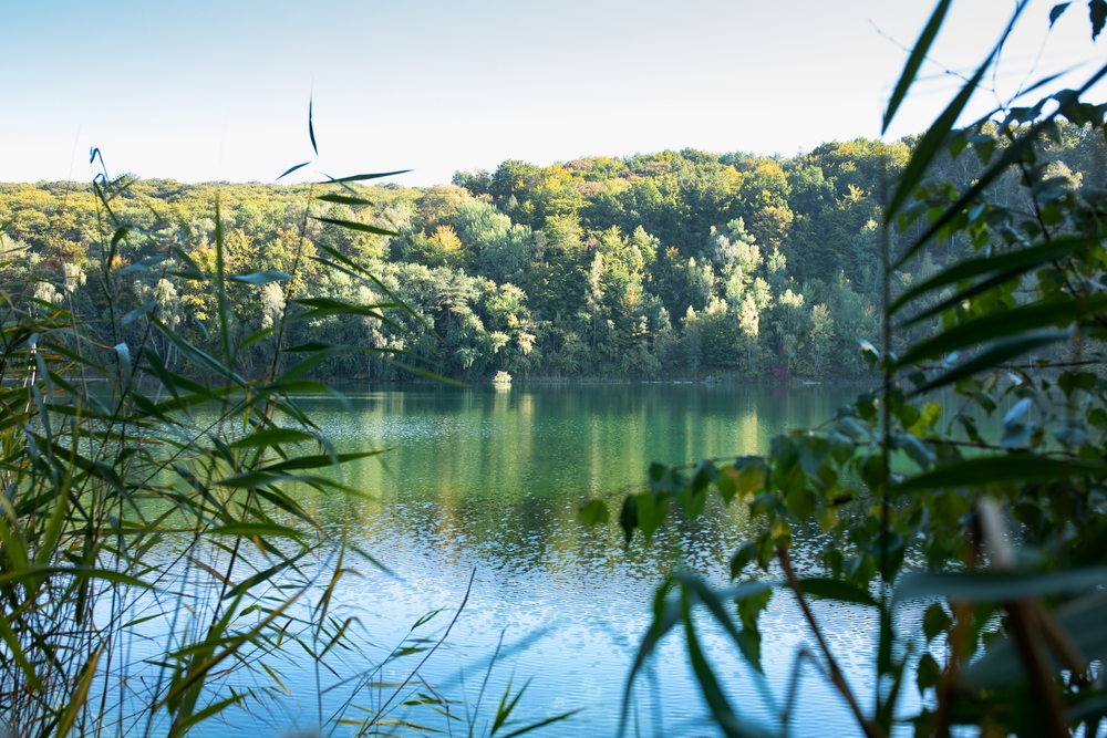 Atrakcje Świnoujścia i okolicy – Jezioro Turkusowe w Wolińskim Parku Narodowym