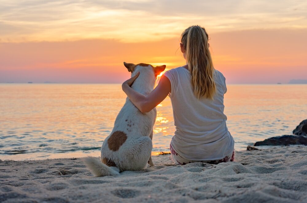 Wakacje z psem nad morzem: kobieta z pupilem na plaży podczas zachodu słońca